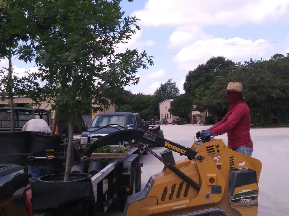Affordable yard maintenance near you across San Marcos, TX - Central Texas Enterprise Hauling