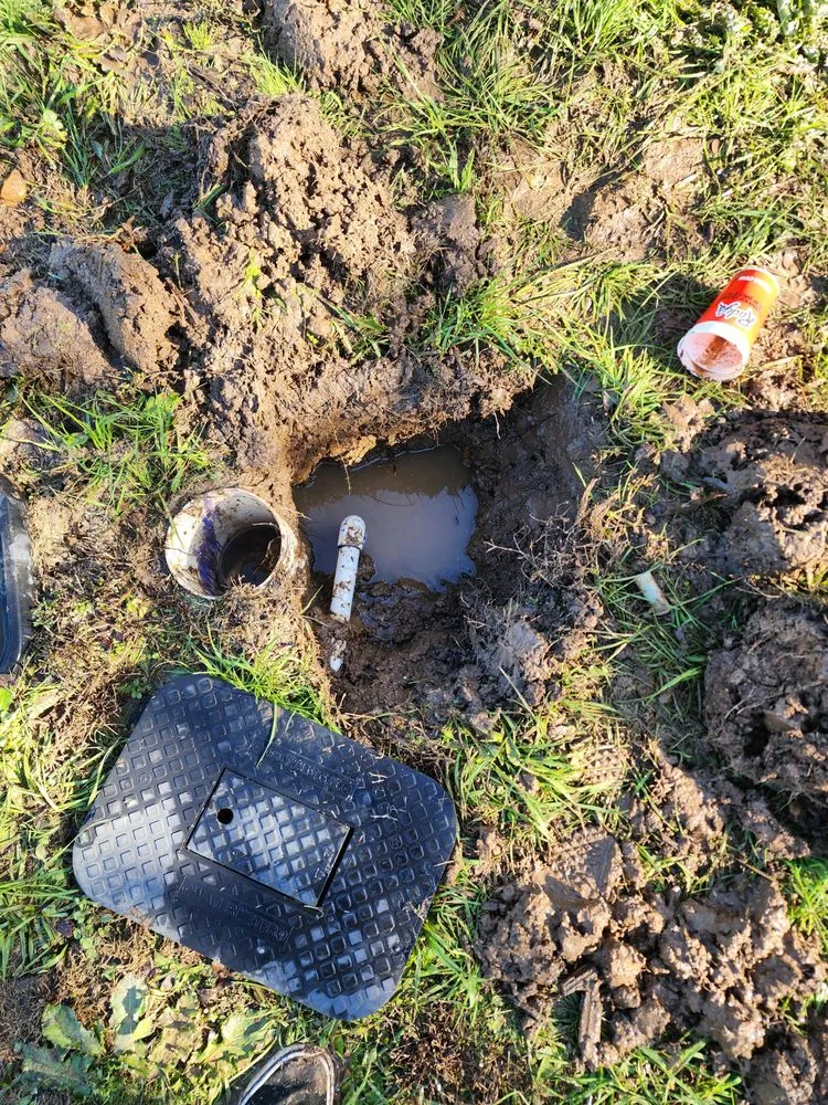 Expert yard cleanup service in Wimberley, TX by Central Texas Proscapes