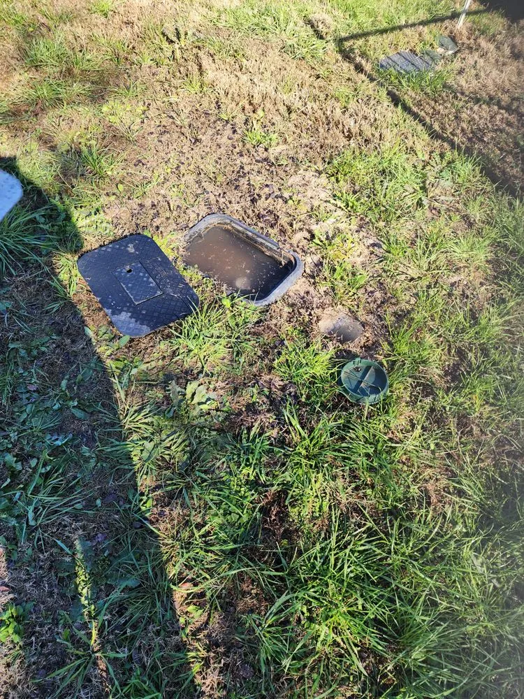 Expert yard maintenance experts serving Wimberley, TX - Central Texas Proscapes