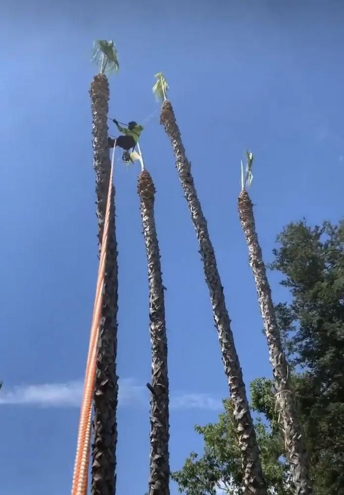 Top-rated outdoor landscaping near you in Bakersfield, CA by Central Valley Landscaping