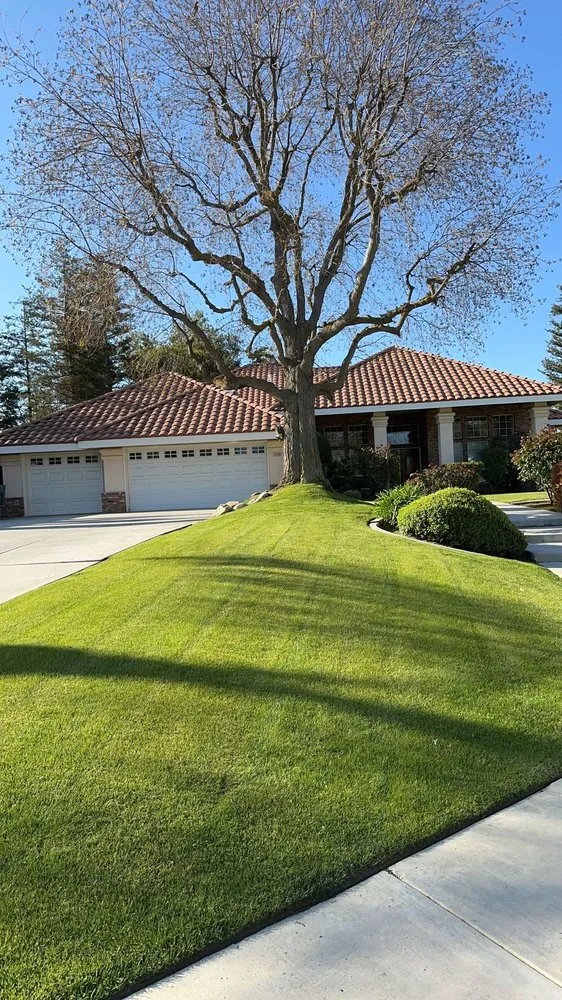 Professional residential landscaping in Bakersfield, CA - Central Valley Landscaping