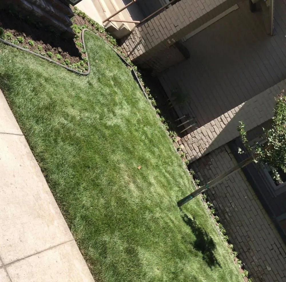 Custom landscape installation for year-round maintenance in Bakersfield, CA by Central Valley Landscaping