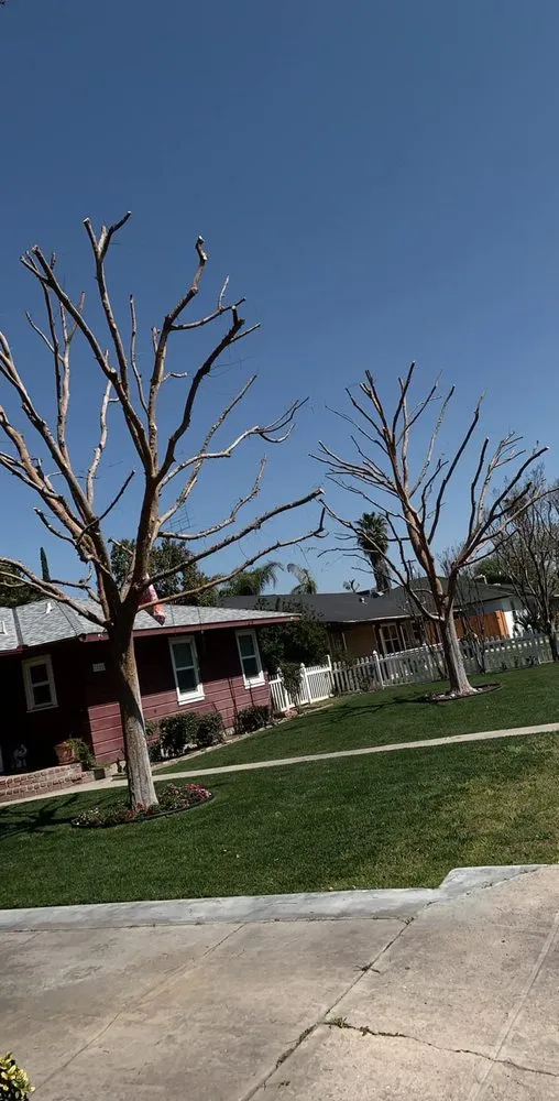 Professional lawn care service in Bakersfield, CA - Central Valley Landscaping