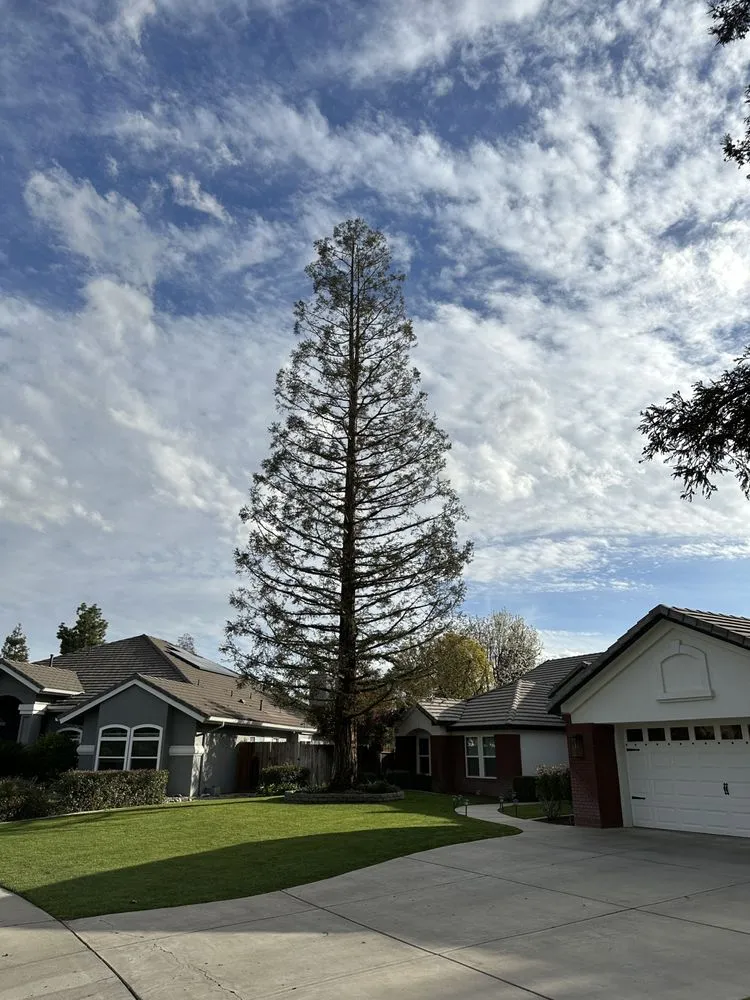 Custom lawn mowing service in Bakersfield, CA by Central Valley Landscaping