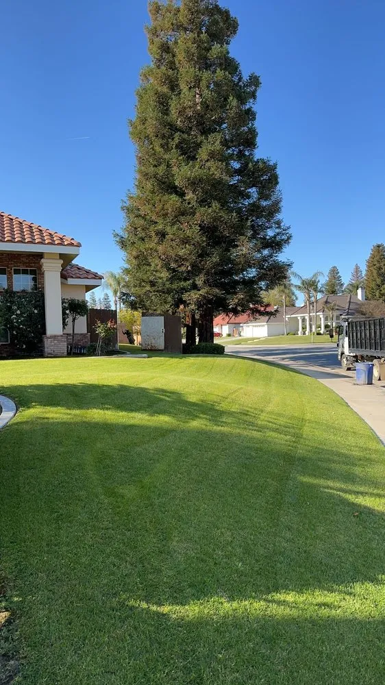 Reliable lawn care service experts serving Bakersfield, CA - Central Valley Landscaping