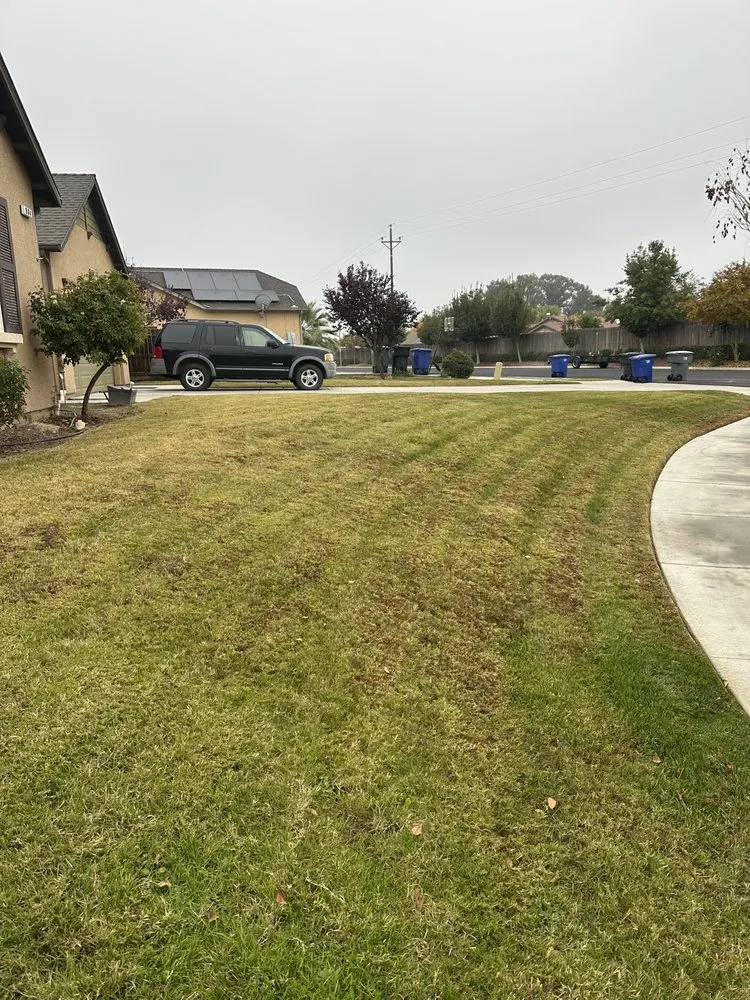 Affordable residential landscaping experts serving Hanford, CA - Central Valley Lawn Care