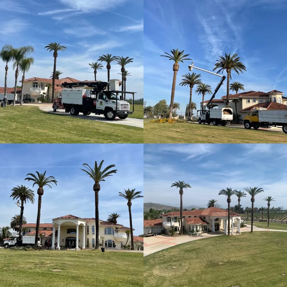 Local garden landscaping in Hanford, CA by Central Valley Tree Service