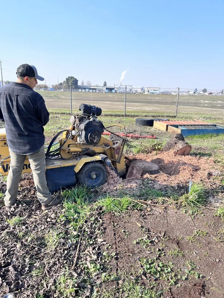 Trusted lawn mowing service experts serving Hanford, CA - Central Valley Tree Service