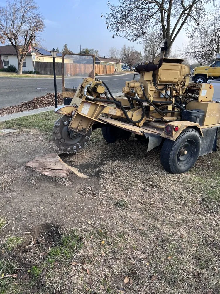 Affordable landscape design in Hanford, CA by Central Valley Tree Service