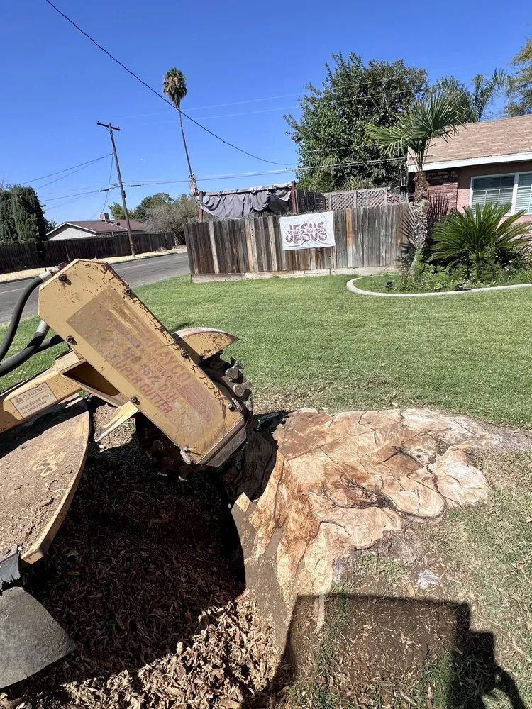 Professional yard cleanup service for beautiful yards across Hanford, CA - Central Valley Tree Service