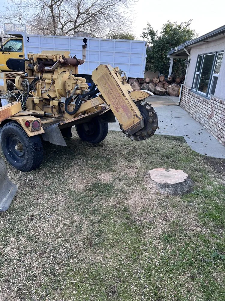 Trusted landscape installation in Hanford, CA by Central Valley Tree Service