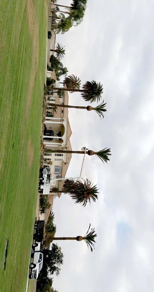 Affordable residential landscaping in Hanford, CA - Central Valley Tree Service