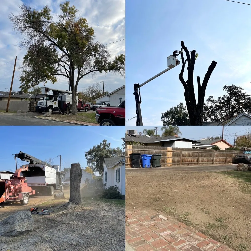 Reliable yard maintenance in Hanford, CA by Central Valley Tree Service