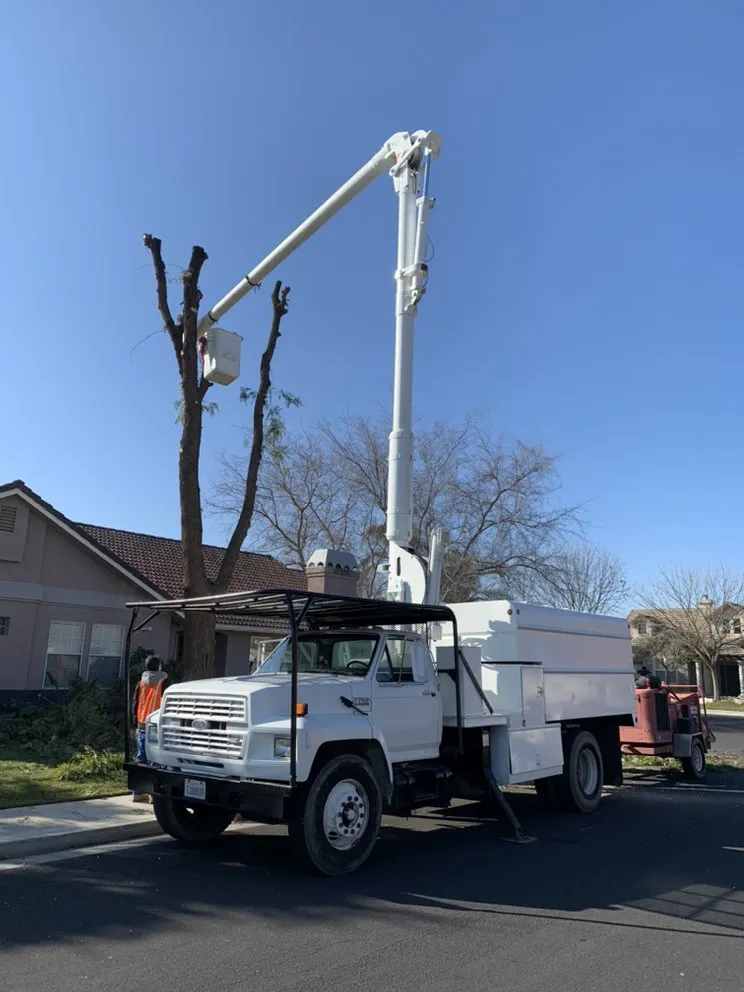 Affordable landscape design in Hanford, CA - Central Valley Tree Service