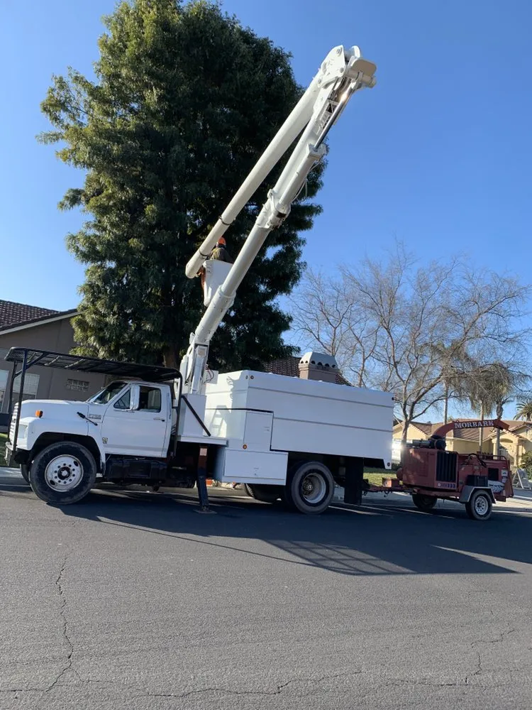 Trusted residential landscaping in Hanford, CA - Central Valley Tree Service