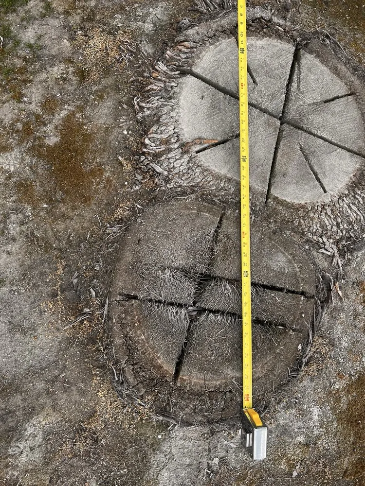 Local lawn mowing service experts serving Hanford, CA - Central Valley Tree Service