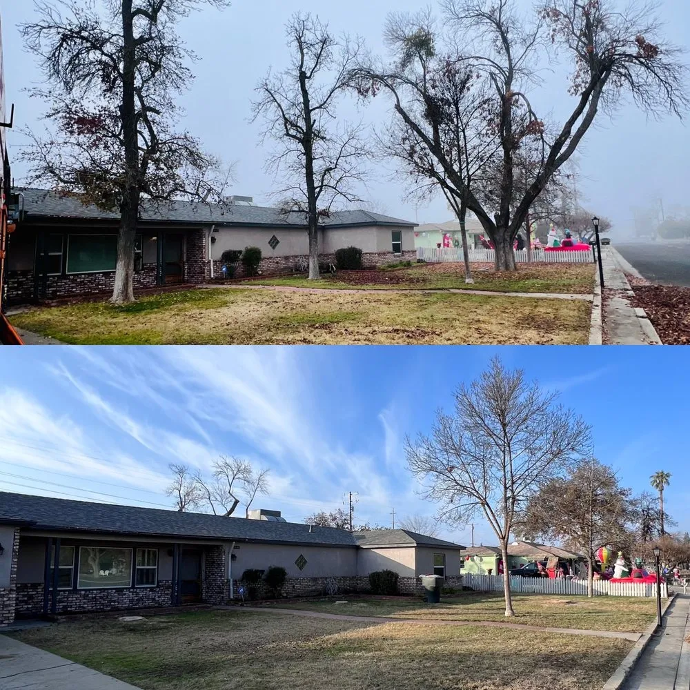 Professional yard cleanup service for year-round maintenance across Hanford, CA - Central Valley Tree Service