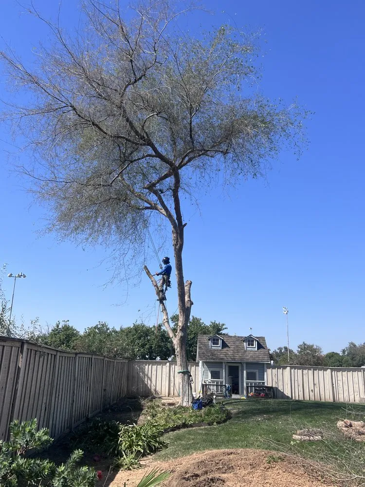 Expert garden landscaping in Hanford, CA by Central Valley Tree Service