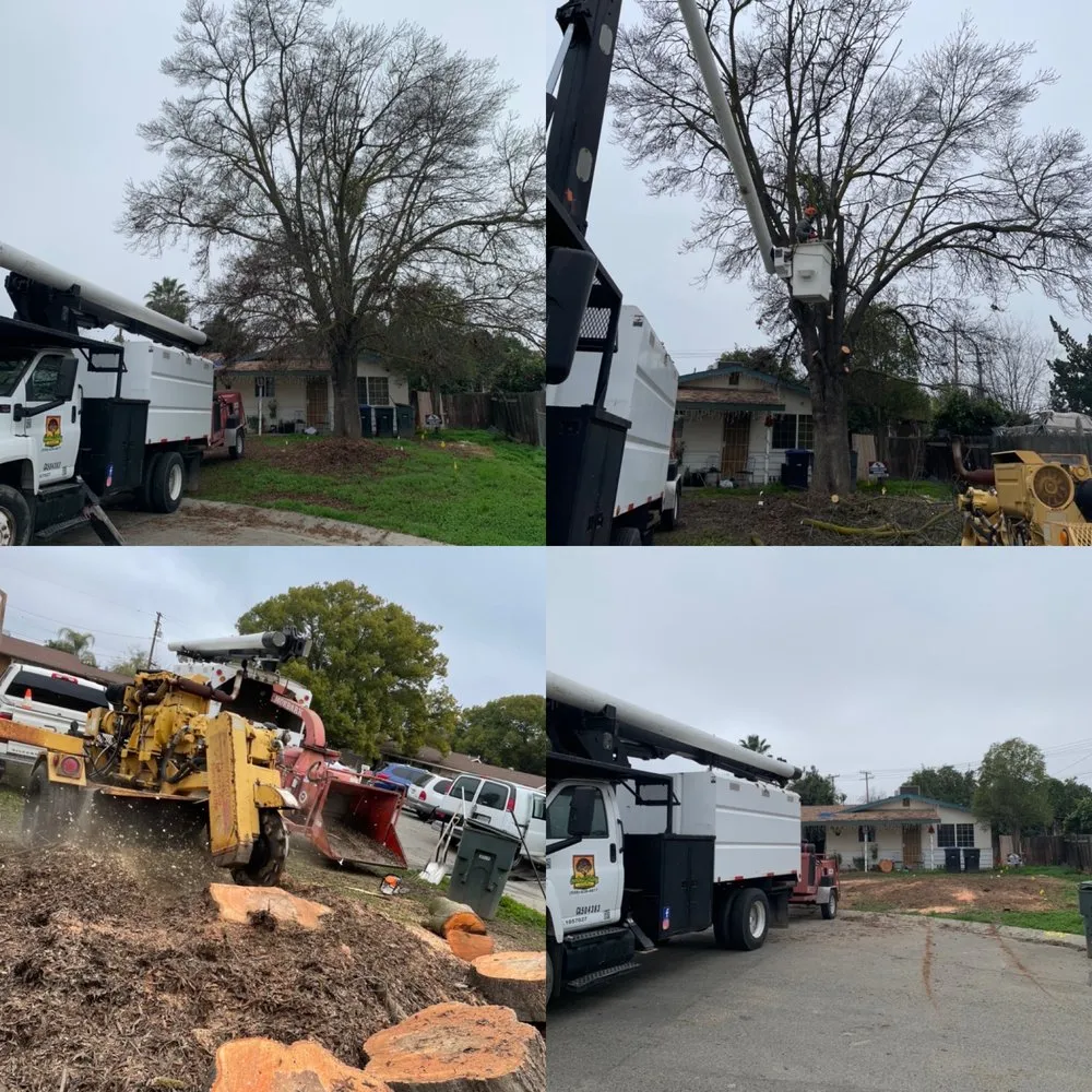 Expert landscape design near you in Hanford, CA by Central Valley Tree Service