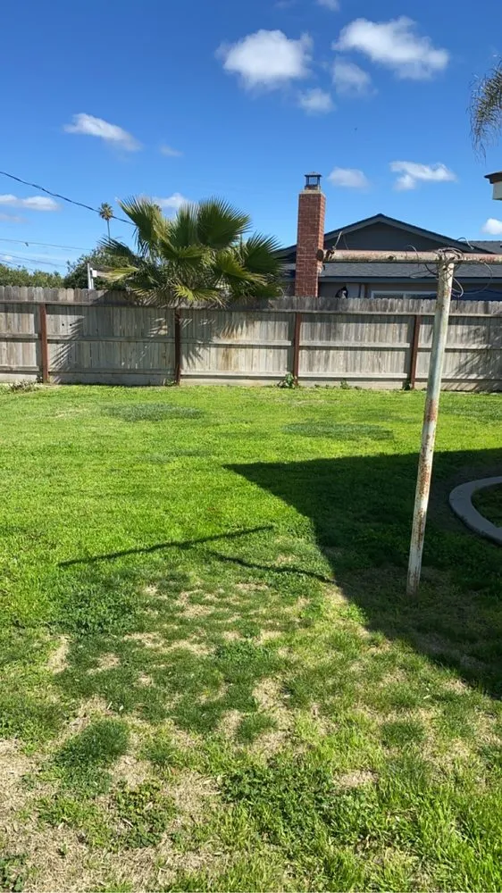 Reliable outdoor landscaping for homes across Lemoore, CA - Central Valley Yard Care