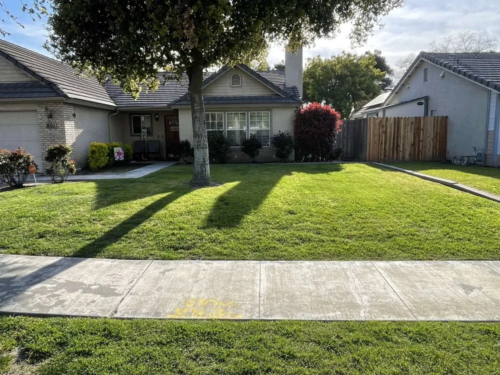 Trusted lawn care service for beautiful yards across Lemoore, CA - Central Valley Yard Care