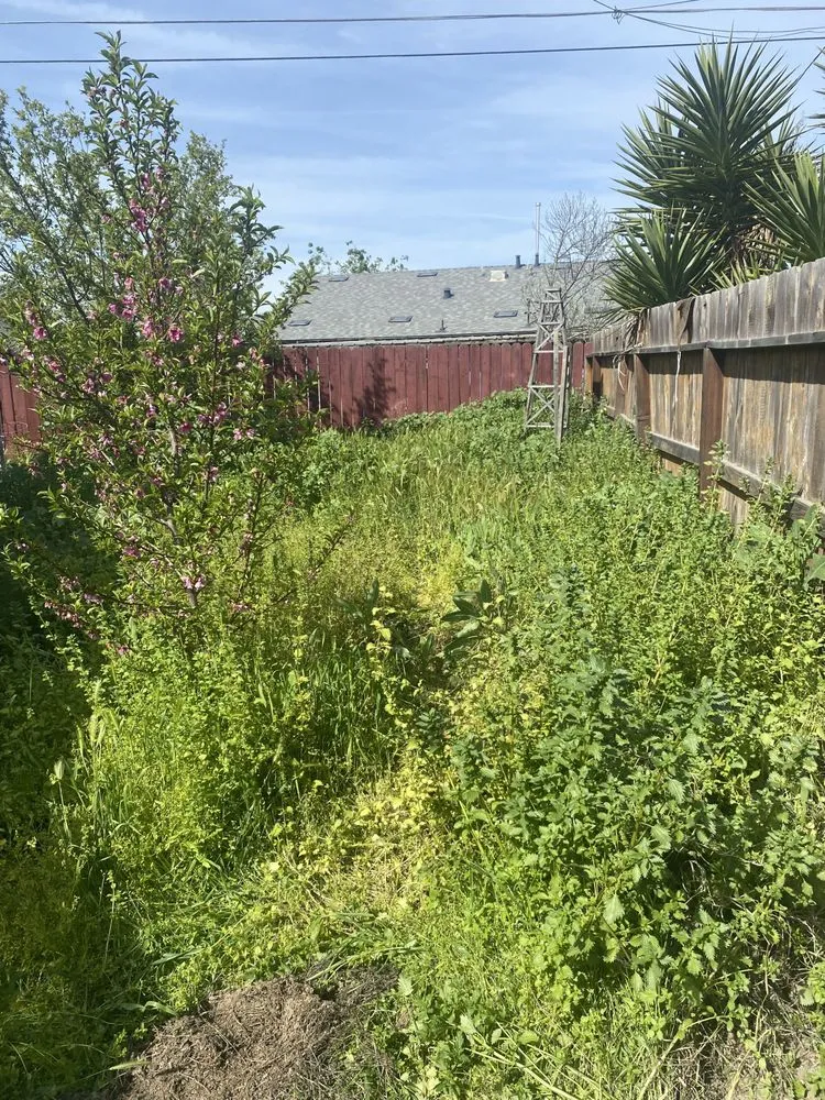 Professional outdoor landscaping in Lemoore, CA by Central Valley Yard Care