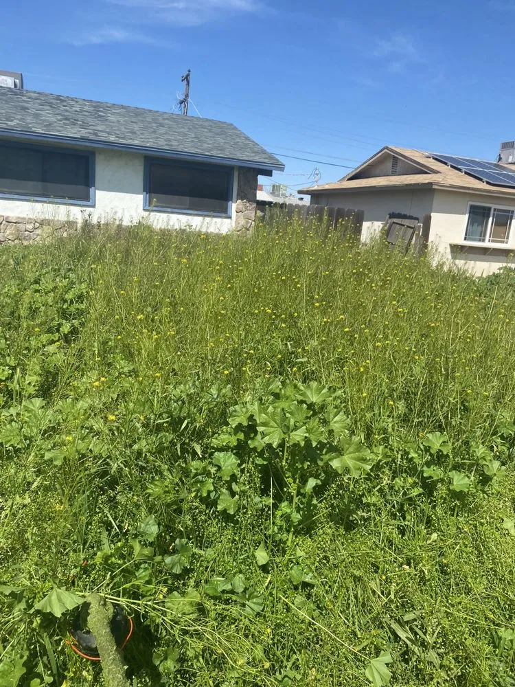 Affordable landscape installation in Lemoore, CA - Central Valley Yard Care