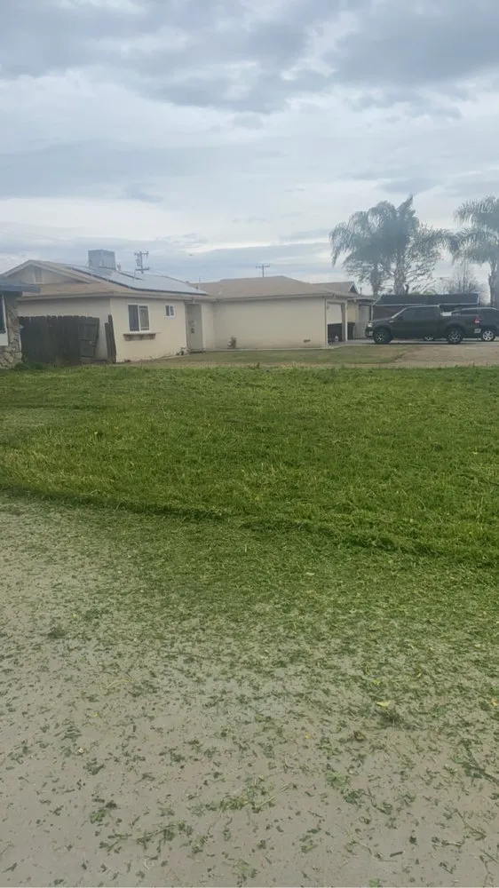 Affordable yard cleanup service in Lemoore, CA by Central Valley Yard Care
