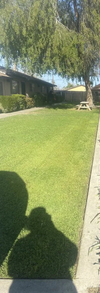 Trusted yard cleanup service experts serving Lemoore, CA - Central Valley Yard Care