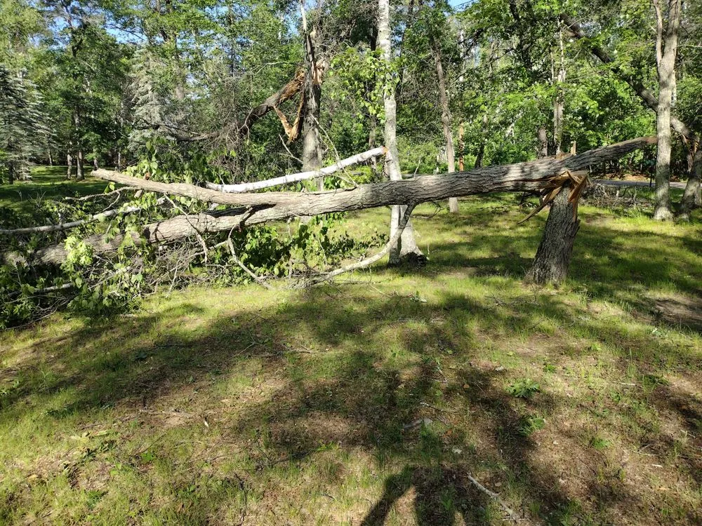 Affordable landscaping services in Brainerd, MN by Centrasota Lawn's