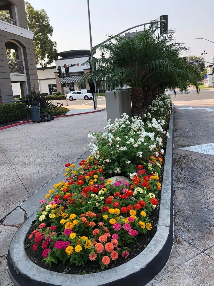 Reliable lawn mowing service in Pomona, CA - Centrescapes