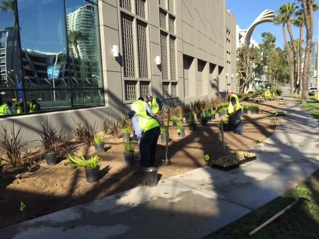 Local landscaping services in Pomona, CA - Centrescapes