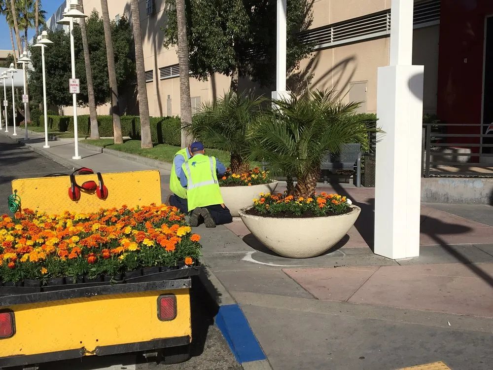Reliable yard maintenance in Pomona, CA by Centrescapes