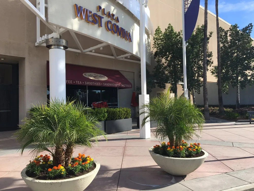 Affordable residential landscaping in Pomona, CA by Centrescapes