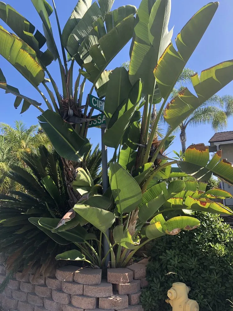 Expert garden landscaping experts serving Pomona, CA - Centrescapes