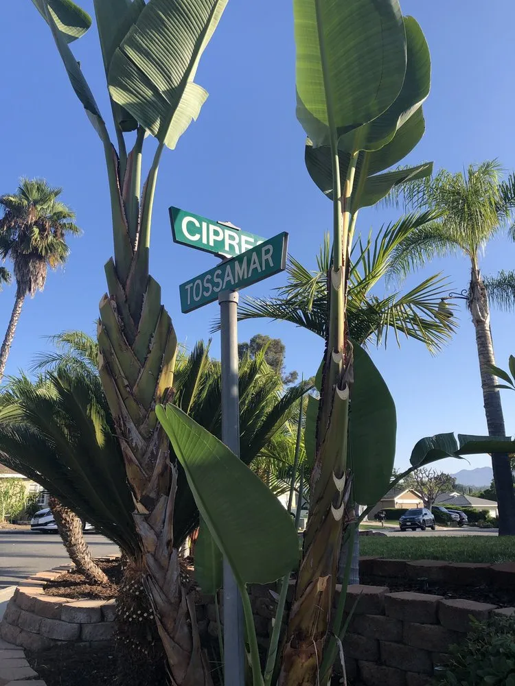 Reliable landscape installation in Pomona, CA - Centrescapes