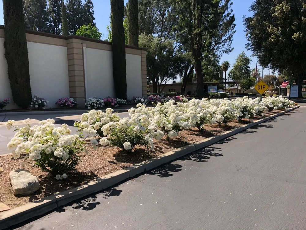Custom landscaping services with custom design in Pomona, CA by Centrescapes