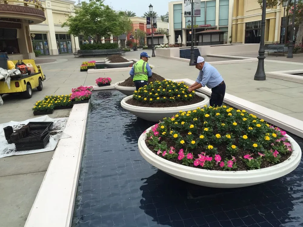 Top-rated yard maintenance near you across Pomona, CA - Centrescapes