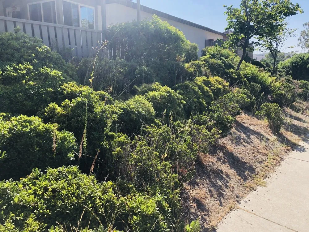 Top-rated lawn mowing service in Pomona, CA by Centrescapes