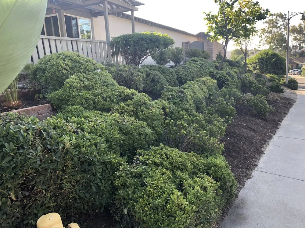 Expert yard maintenance experts serving Pomona, CA - Centrescapes