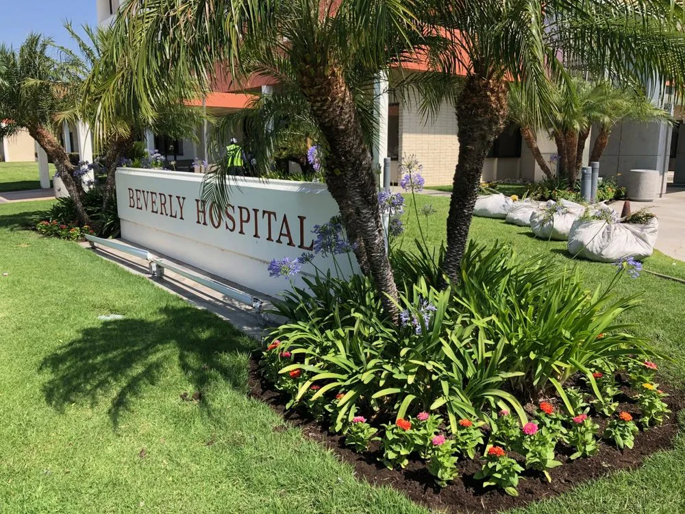 Expert lawn care service for year-round maintenance across Pomona, CA - Centrescapes