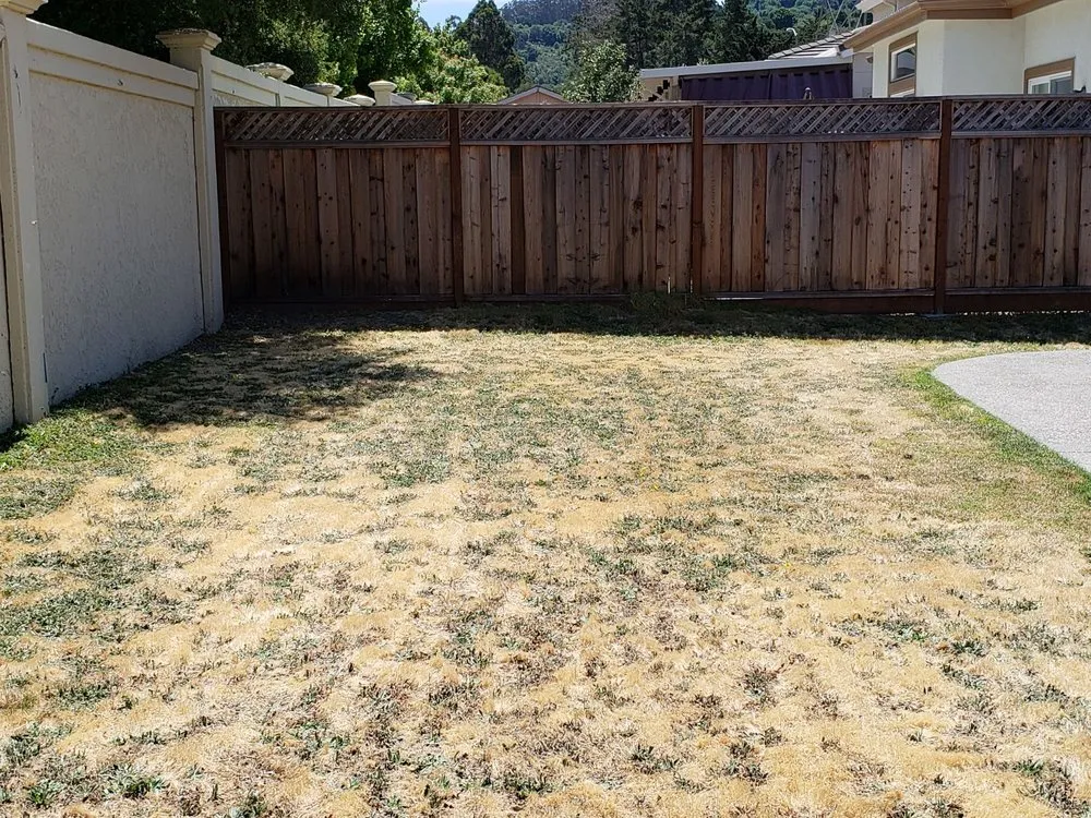 Top-rated residential landscaping experts serving Sacramento, CA - Centro Valley Landscape