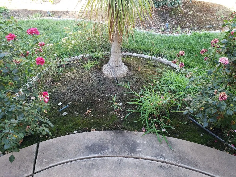 Top-rated yard maintenance in Sacramento, CA by Centro Valley Landscape