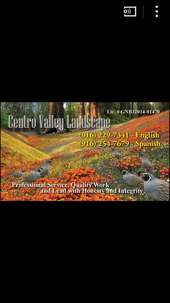 Reliable outdoor landscaping experts serving Sacramento, CA - Centro Valley Landscape