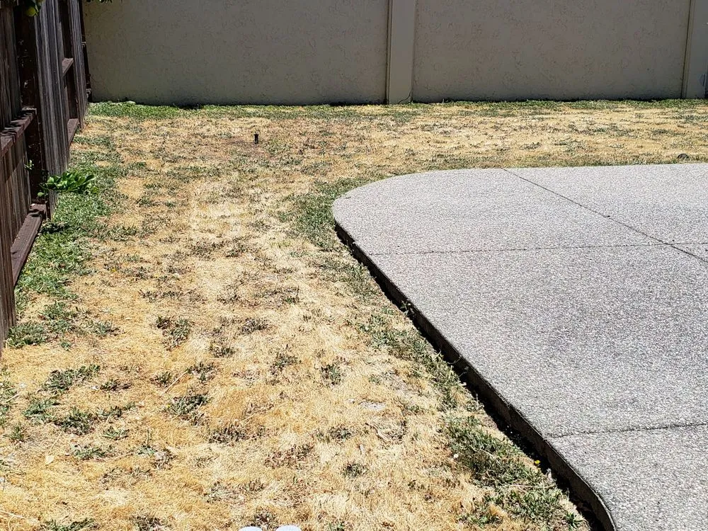 Local landscape design in Sacramento, CA by Centro Valley Landscape