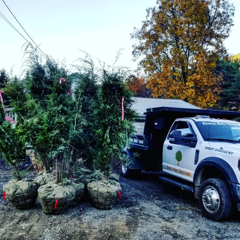 Local landscaping services with custom design in Deposit, NY by Cents-Able Solutions