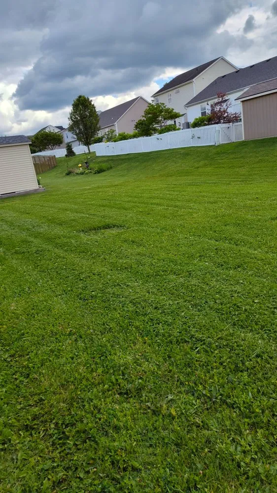 Trusted yard maintenance for residential properties across Columbus, OH - Centsational Management