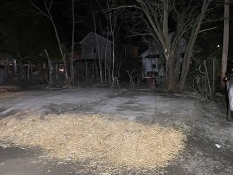 Reliable lawn care service for outdoor upgrades across Columbus, OH - Centsational Management