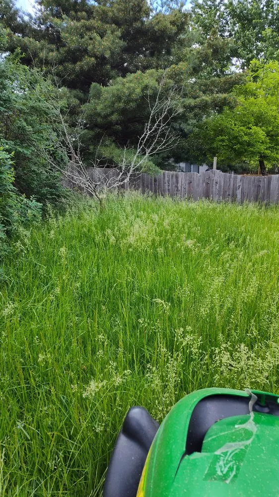 Reliable yard maintenance in Columbus, OH by Centsational Management