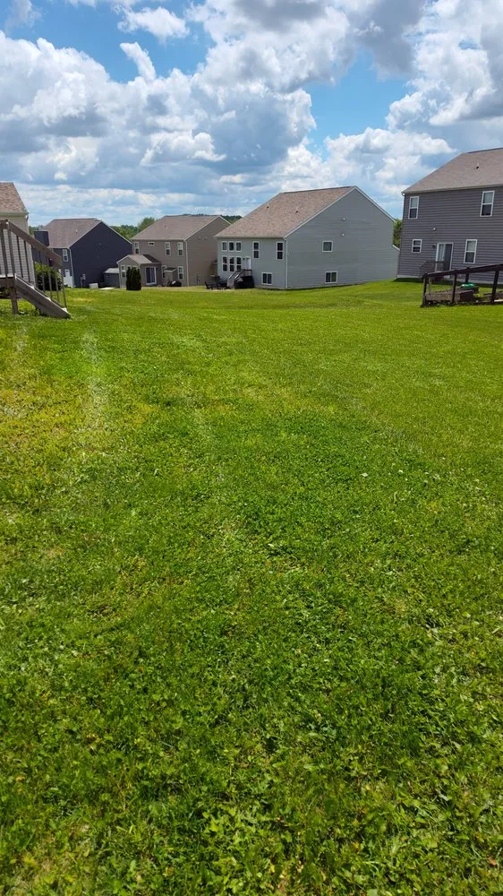 Professional landscape installation for outdoor upgrades across Columbus, OH - Centsational Management